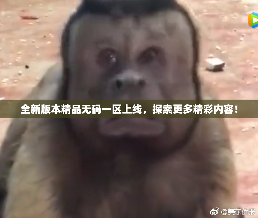 全新版本精品无码一区上线，探索更多精彩内容！