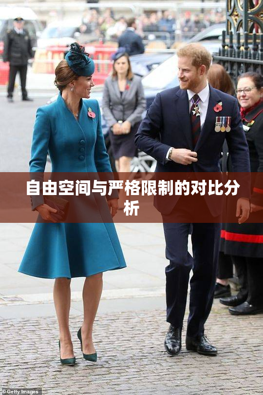 自由空间与严格限制的对比分析