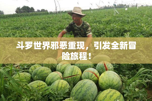 斗罗世界邪恶重现，引发全新冒险旅程！