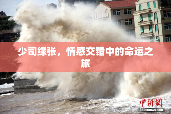 少司缘张，情感交错中的命运之旅