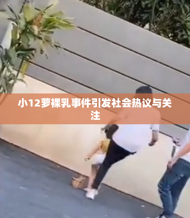 小12萝裸乳事件引发社会热议与关注