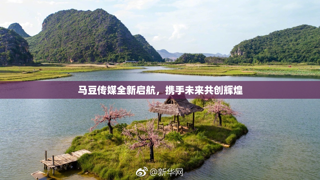 马豆传媒全新启航，携手未来共创辉煌