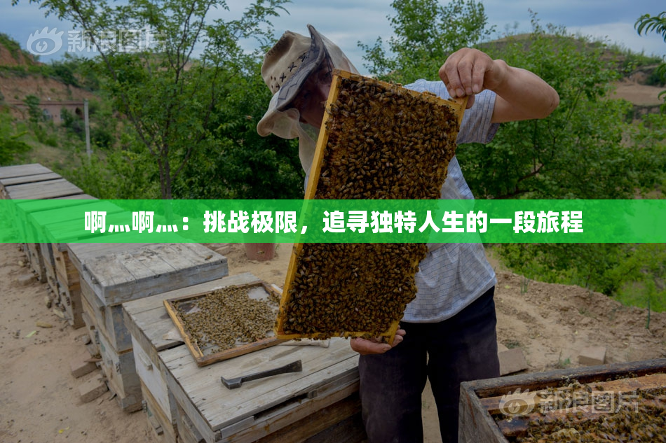 啊灬啊灬：挑战极限，追寻独特人生的一段旅程