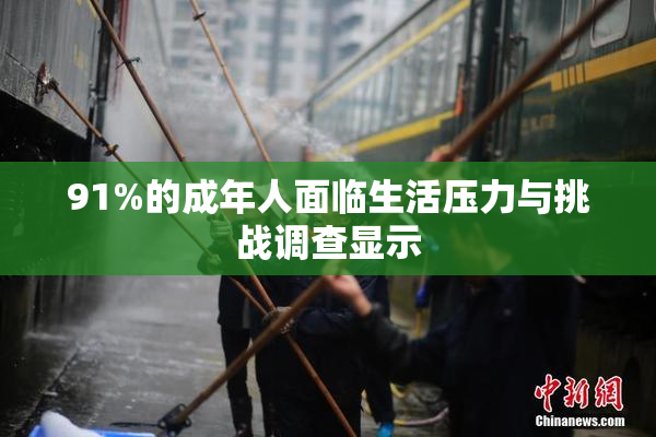 91%的成年人面临生活压力与挑战调查显示