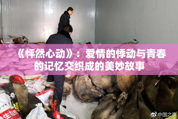 《怦然心动》：爱情的悸动与青春的记忆交织成的美妙故事