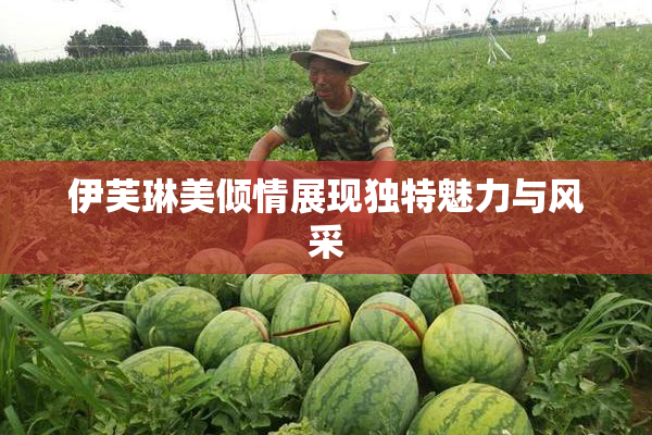 伊芙琳美倾情展现独特魅力与风采