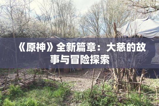 《原神》全新篇章：大慈的故事与冒险探索