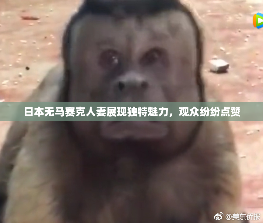 日本无马赛克人妻展现独特魅力，观众纷纷点赞