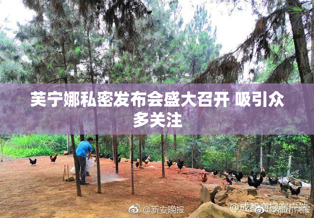 芙宁娜私密发布会盛大召开 吸引众多关注