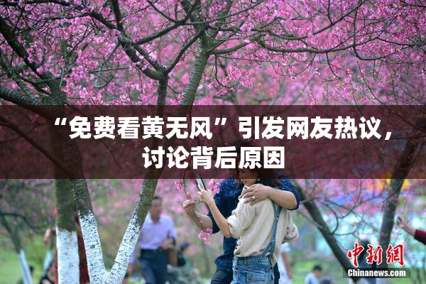 “免费看黄无风”引发网友热议，讨论背后原因