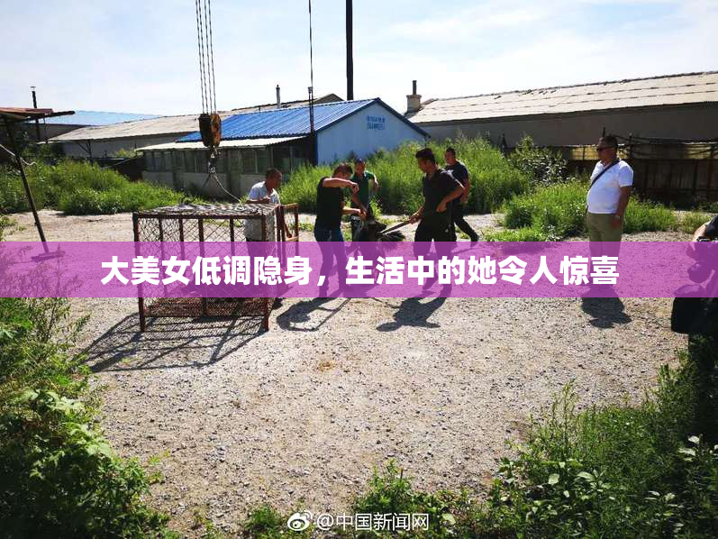 大美女低调隐身，生活中的她令人惊喜