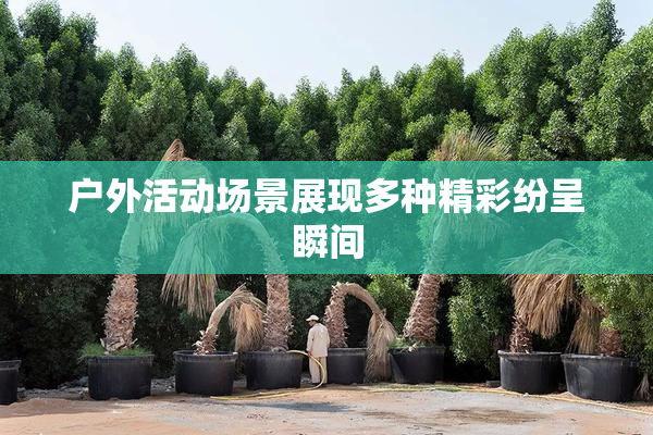户外活动场景展现多种精彩纷呈瞬间