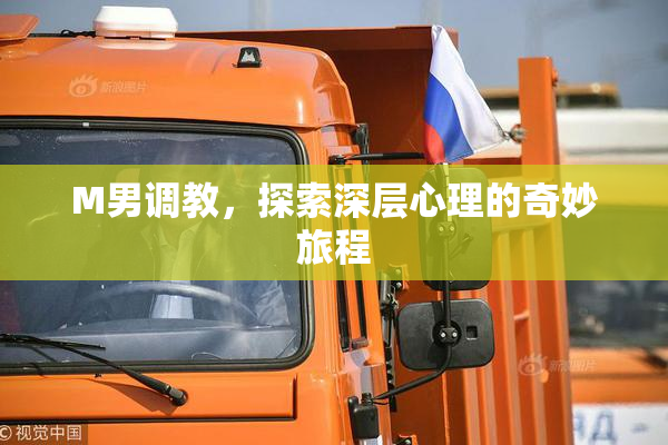 M男调教，探索深层心理的奇妙旅程