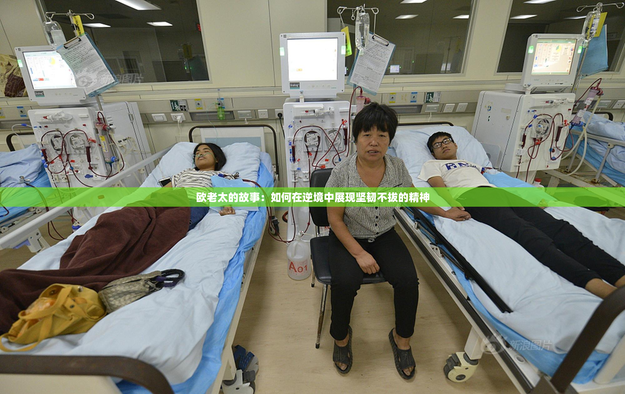 欧老太的故事：如何在逆境中展现坚韧不拔的精神