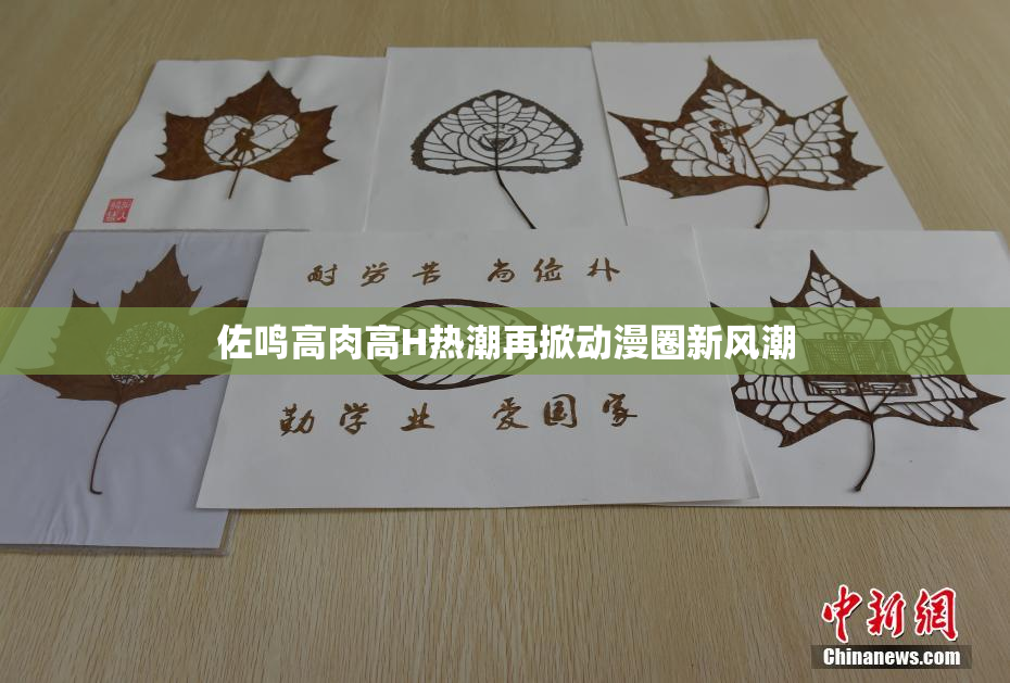 佐鸣高肉高H热潮再掀动漫圈新风潮
