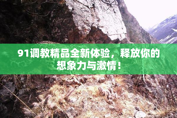 91调教精品全新体验，释放你的想象力与激情！