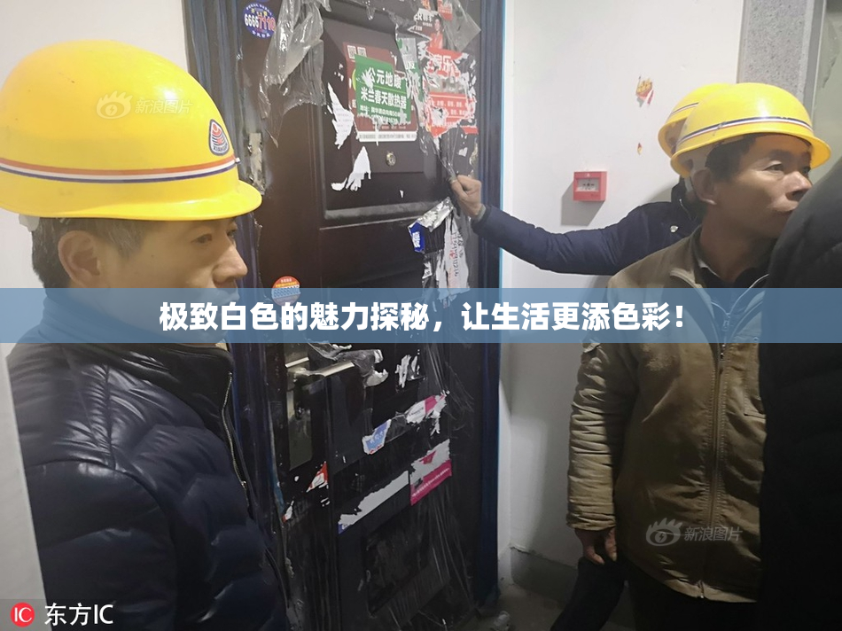 极致白色的魅力探秘，让生活更添色彩！