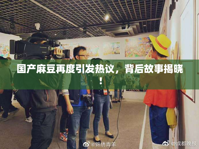 国产麻豆再度引发热议，背后故事揭晓！