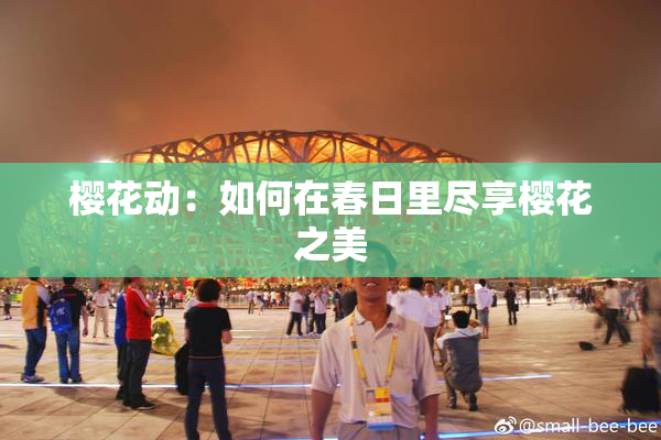 樱花动：如何在春日里尽享樱花之美