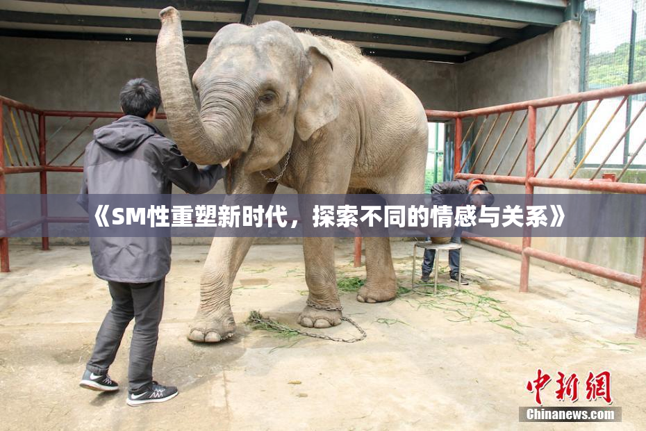 《SM性重塑新时代，探索不同的情感与关系》