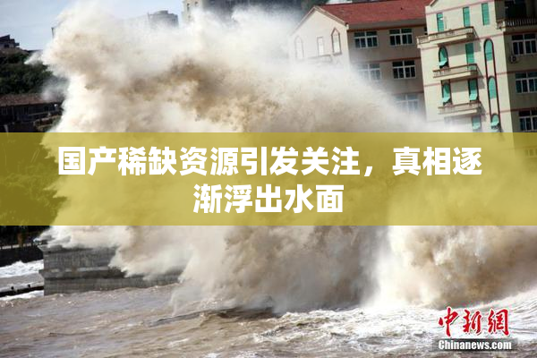 国产稀缺资源引发关注，真相逐渐浮出水面