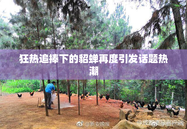狂热追捧下的貂蝉再度引发话题热潮