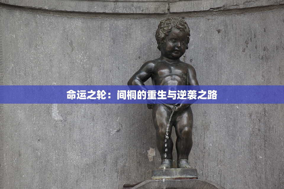 命运之轮：间桐的重生与逆袭之路