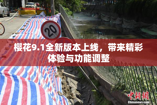 樱花9.1全新版本上线，带来精彩体验与功能调整