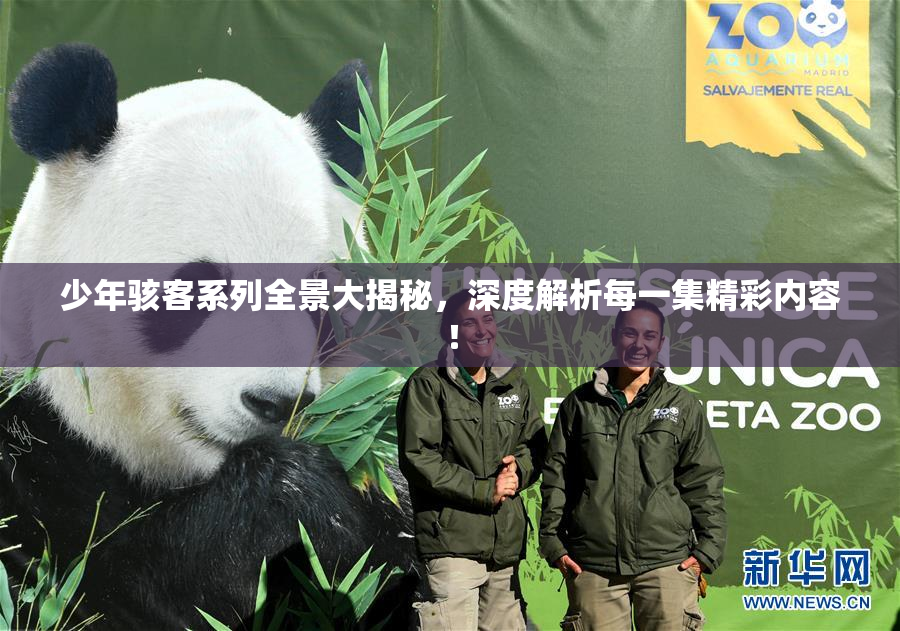 少年骇客系列全景大揭秘，深度解析每一集精彩内容！