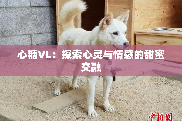 心糖VL：探索心灵与情感的甜蜜交融