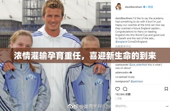 浓情灌输孕育重任，喜迎新生命的到来