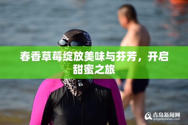 春香草莓绽放美味与芬芳，开启甜蜜之旅