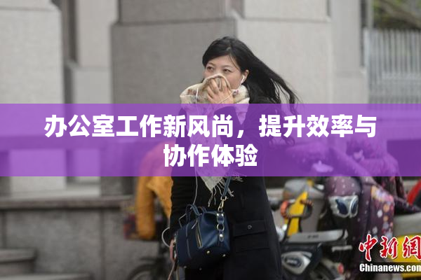 办公室工作新风尚，提升效率与协作体验