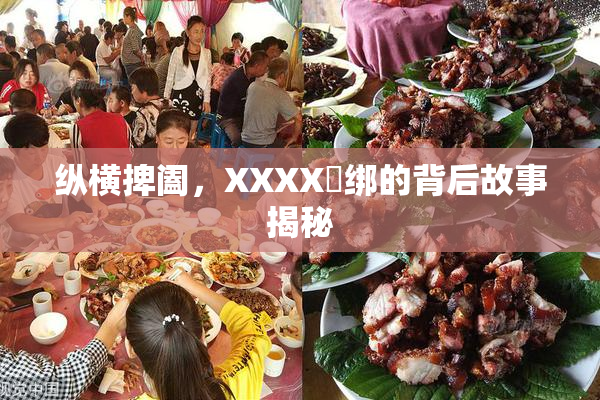纵横捭阖，XXXX秵绑的背后故事揭秘