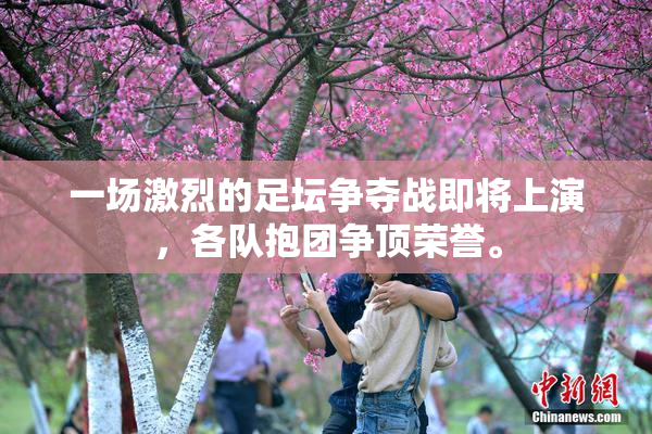 一场激烈的足坛争夺战即将上演，各队抱团争顶荣誉。