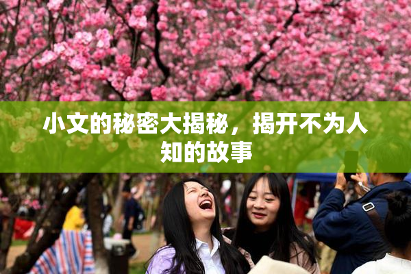 小文的秘密大揭秘，揭开不为人知的故事