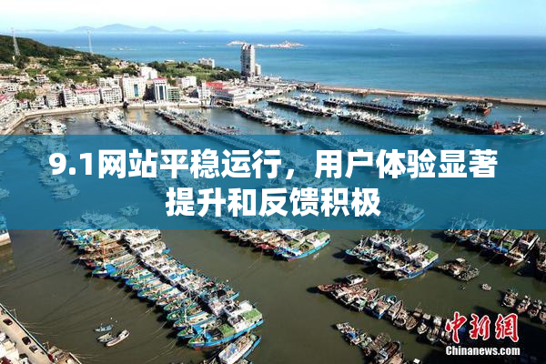 9.1网站平稳运行，用户体验显著提升和反馈积极