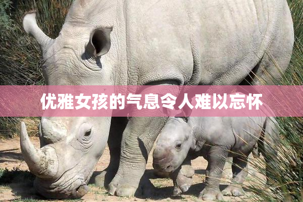优雅女孩的气息令人难以忘怀