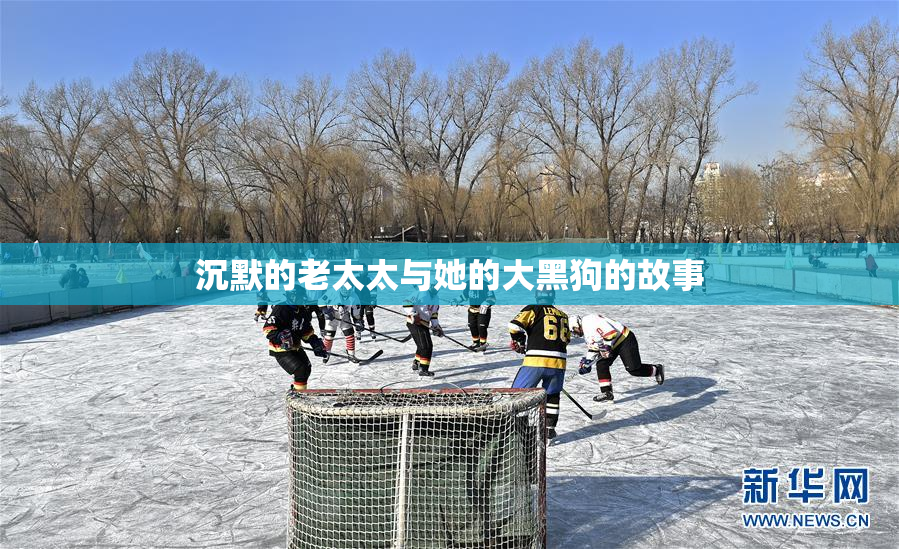 沉默的老太太与她的大黑狗的故事