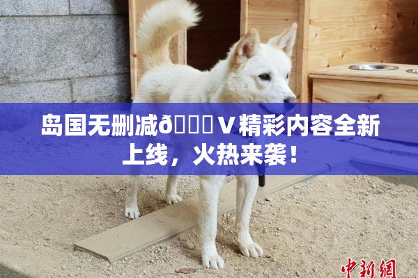 岛国无删减🈚Ⅴ精彩内容全新上线，火热来袭！