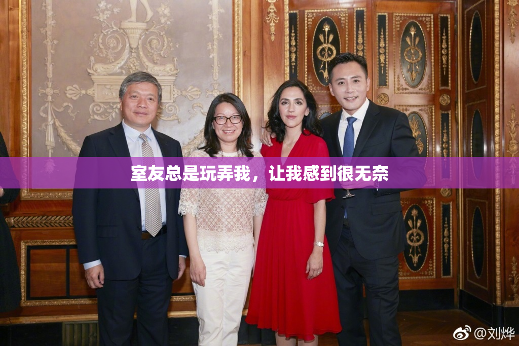室友总是玩弄我，让我感到很无奈