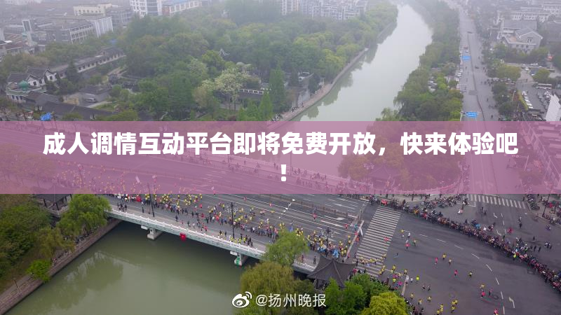 成人调情互动平台即将免费开放，快来体验吧！