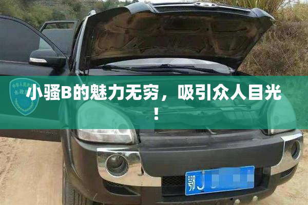 小骚B的魅力无穷，吸引众人目光！