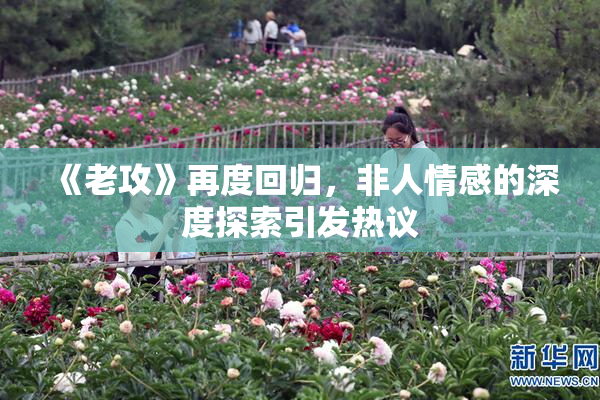 《老攻》再度回归，非人情感的深度探索引发热议
