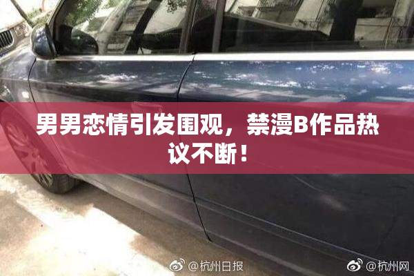 男男恋情引发围观，禁漫B作品热议不断！