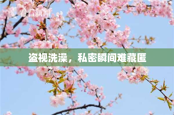 盗视洗澡，私密瞬间难藏匿