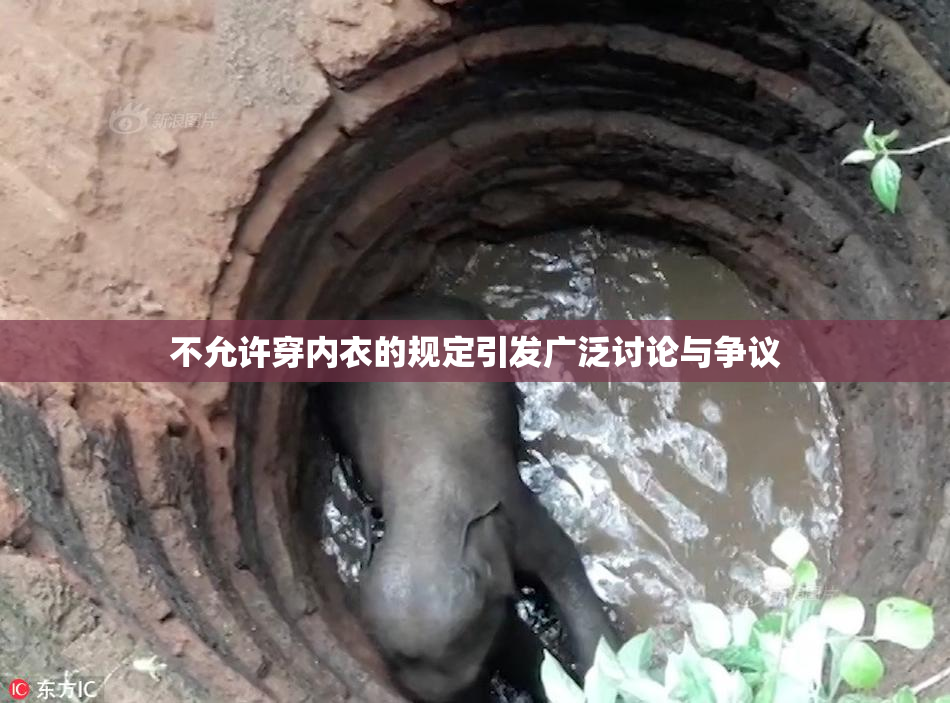 不允许穿内衣的规定引发广泛讨论与争议