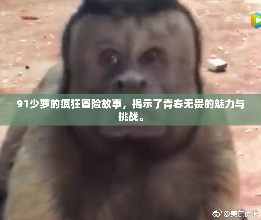 91少萝的疯狂冒险故事，揭示了青春无畏的魅力与挑战。