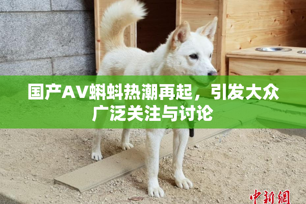 国产AV蝌蚪热潮再起，引发大众广泛关注与讨论