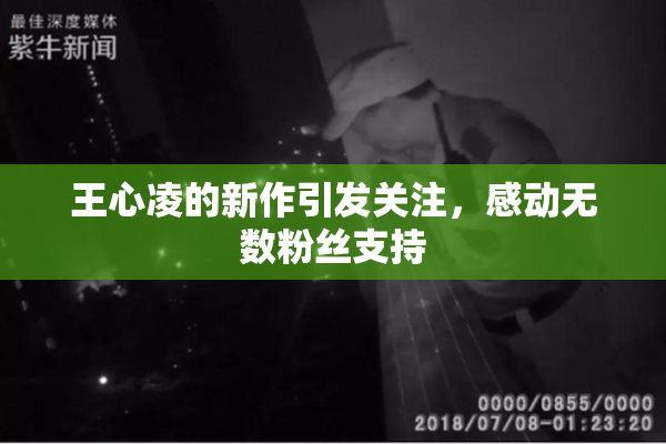 王心凌的新作引发关注，感动无数粉丝支持
